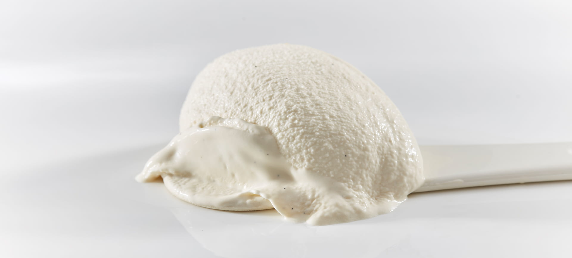 vegan vanilla ice cream
